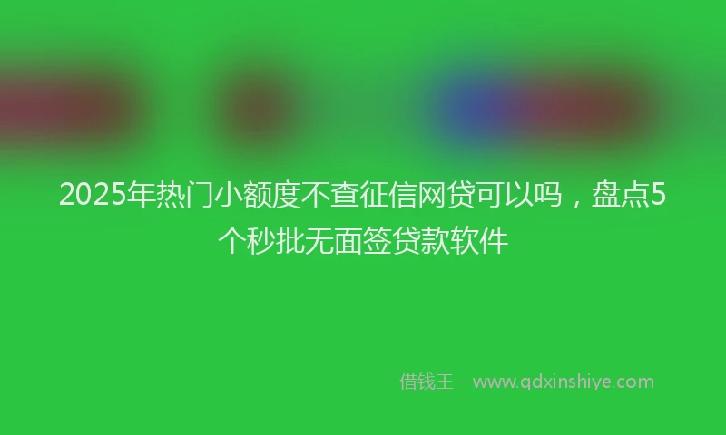 2025年热门小额度不查征信网贷可以吗，盘点5个秒批无面签贷款软件