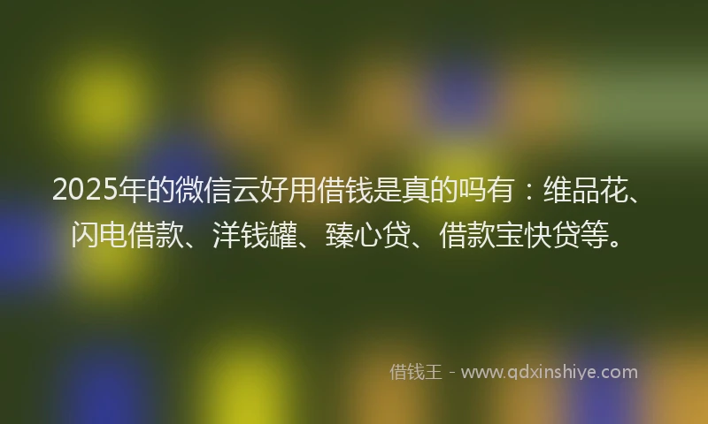 2025年的微信云好用借钱是真的吗有：维品花、闪电借款、洋钱罐、臻心贷、借款宝快贷等。