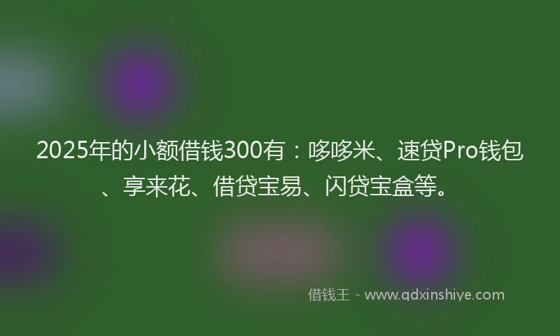 2025年的小额借钱300有：哆哆米、速贷Pro钱包、享来花、借贷宝易、闪贷宝盒等。