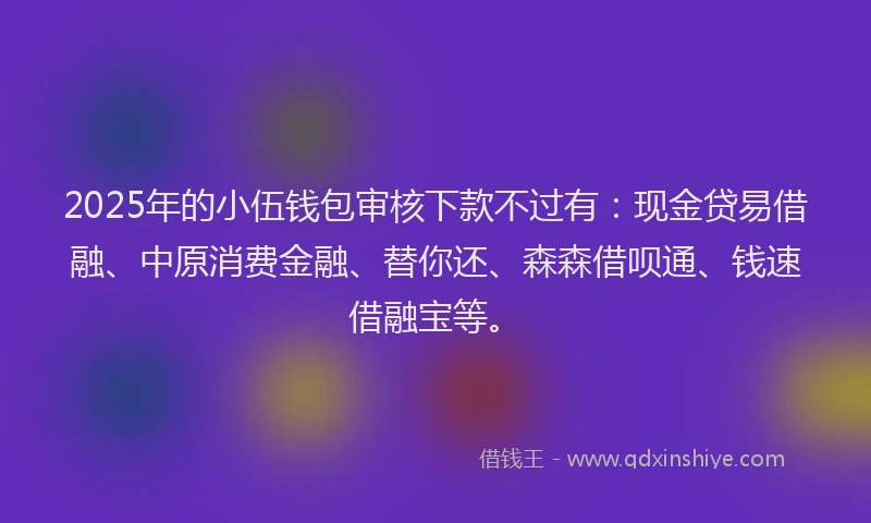 2025年的小伍钱包审核下款不过有：现金贷易借融、中原消费金融、替你还、森森借呗通、钱速借融宝等。