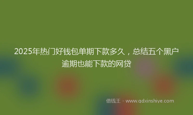 2025年热门好钱包单期下款多久，总结五个黑户逾期也能下款的网贷