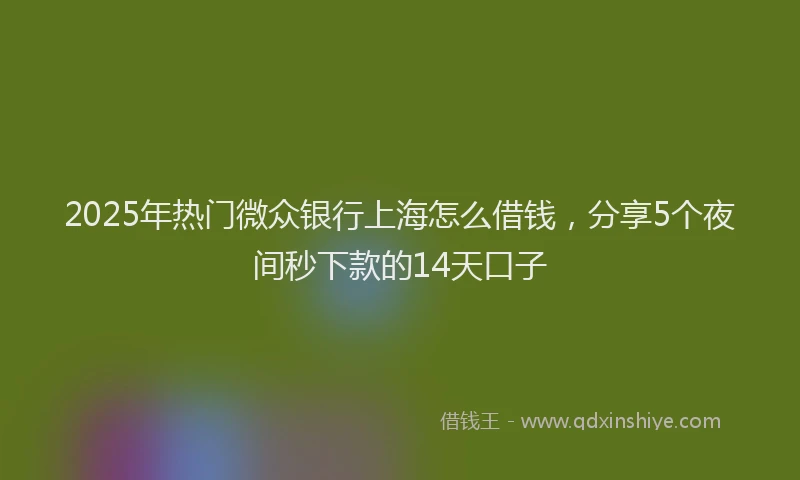 2025年热门微众银行上海怎么借钱，分享5个夜间秒下款的14天口子