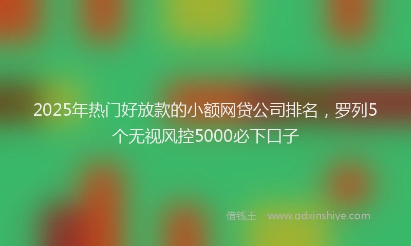 2025年热门好放款的小额网贷公司排名，罗列5个无视风控5000必下口子