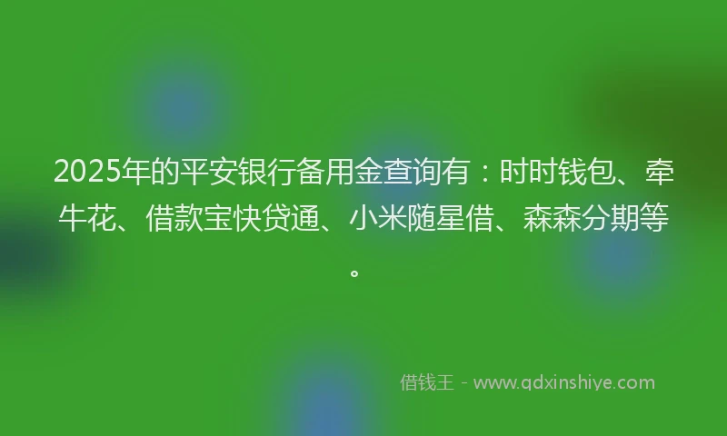 2025年的平安银行备用金查询有：时时钱包、牵牛花、借款宝快贷通、小米随星借、森森分期等。