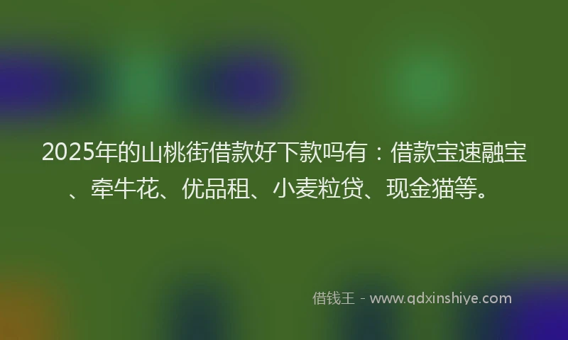 2025年的山桃街借款好下款吗有：借款宝速融宝、牵牛花、优品租、小麦粒贷、现金猫等。
