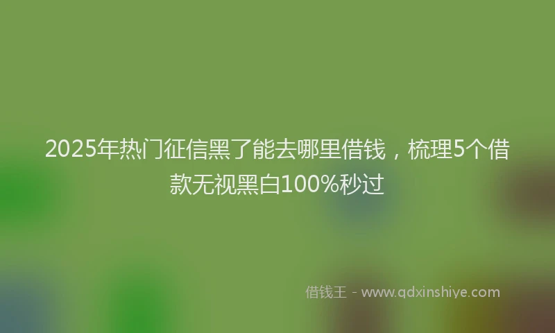 2025年热门征信黑了能去哪里借钱，梳理5个借款无视黑白100%秒过