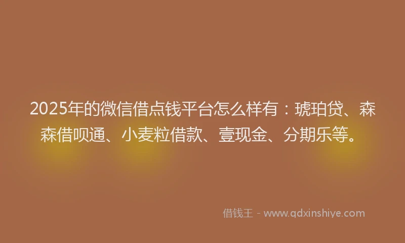 2025年的微信借点钱平台怎么样有：琥珀贷、森森借呗通、小麦粒借款、壹现金、分期乐等。