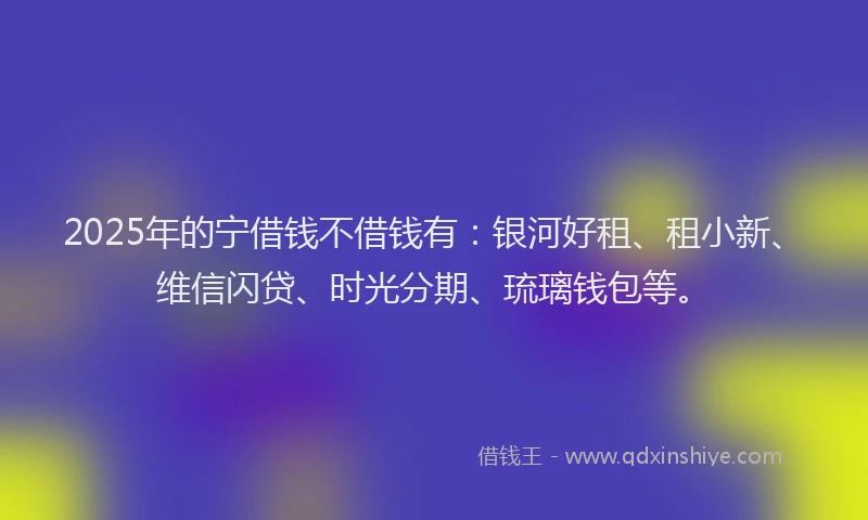 2025年的宁借钱不借钱有：银河好租、租小新、维信闪贷、时光分期、琉璃钱包等。