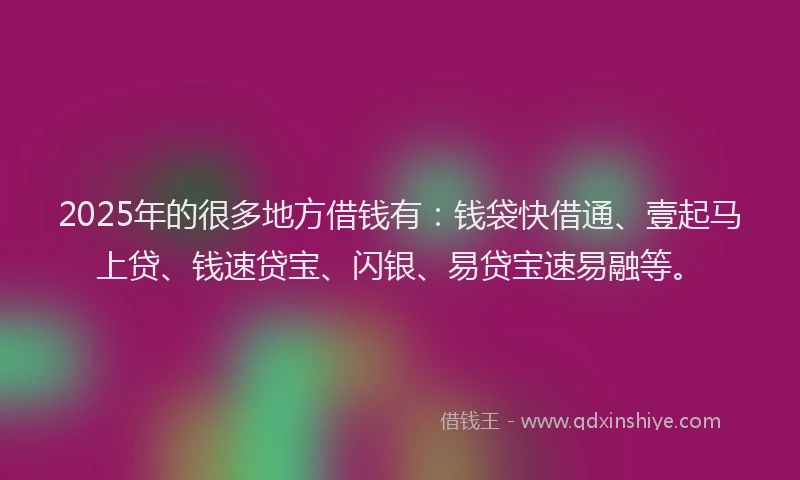 2025年的很多地方借钱有：钱袋快借通、壹起马上贷、钱速贷宝、闪银、易贷宝速易融等。