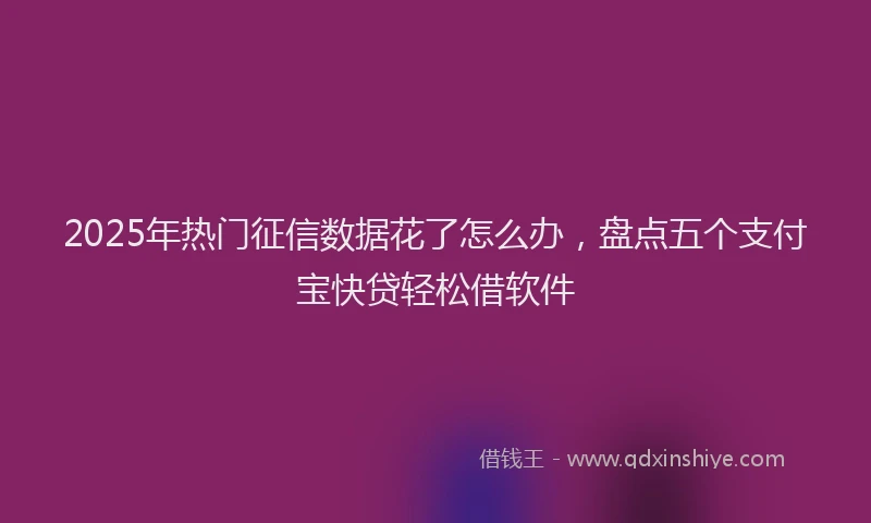 2025年热门征信数据花了怎么办，盘点五个支付宝快贷轻松借软件
