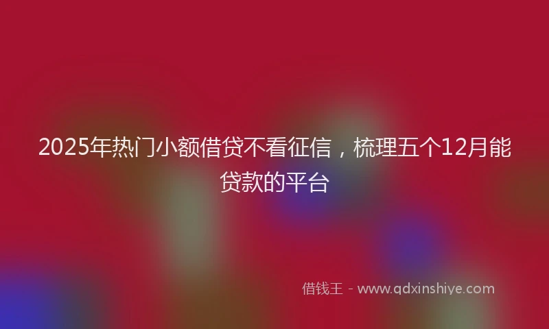 2025年热门小额借贷不看征信，梳理五个12月能贷款的平台