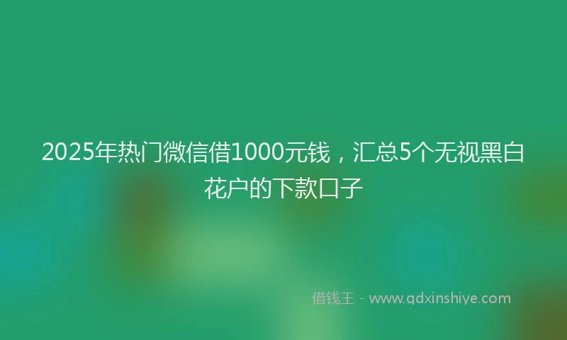 2025年热门微信借1000元钱，汇总5个无视黑白花户的下款口子