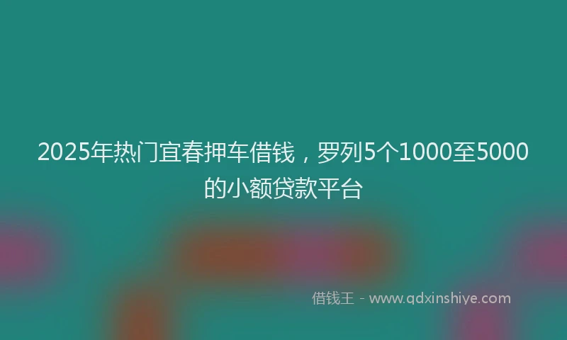 2025年热门宜春押车借钱，罗列5个1000至5000的小额贷款平台