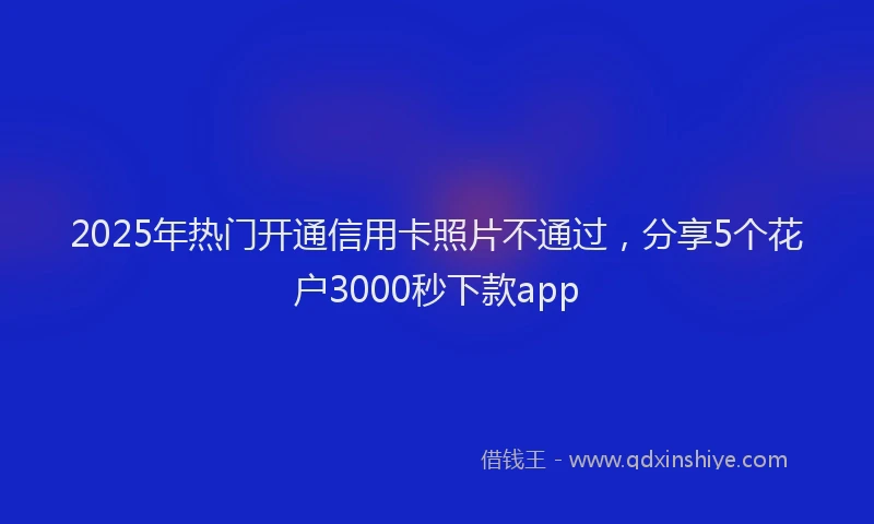 2025年热门开通信用卡照片不通过，分享5个花户3000秒下款app