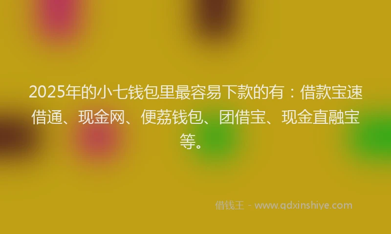 2025年的小七钱包里最容易下款的有：借款宝速借通、现金网、便荔钱包、团借宝、现金直融宝等。