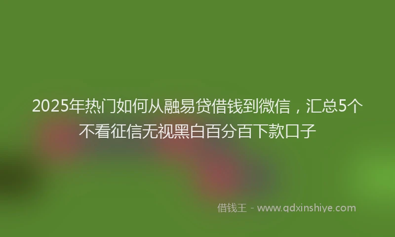 2025年热门如何从融易贷借钱到微信，汇总5个不看征信无视黑白百分百下款口子