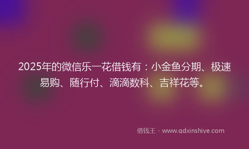 2025年的微信乐一花借钱有：小金鱼分期、极速易购、随行付、滴滴数科、吉祥花等。