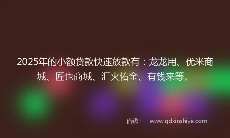 2025年的小额贷款快速放款有：龙龙用、优米商城、匠也商城、汇火佑金、有钱来等。