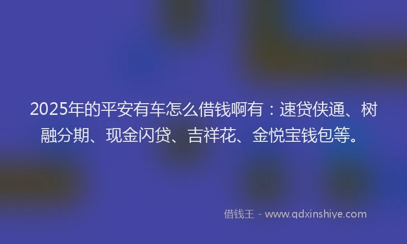 2025年的平安有车怎么借钱啊有：速贷侠通、树融分期、现金闪贷、吉祥花、金悦宝钱包等。