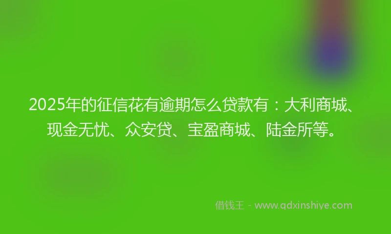 2025年的征信花有逾期怎么贷款有：大利商城、现金无忧、众安贷、宝盈商城、陆金所等。