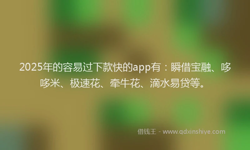2025年的容易过下款快的app有：瞬借宝融、哆哆米、极速花、牵牛花、滴水易贷等。