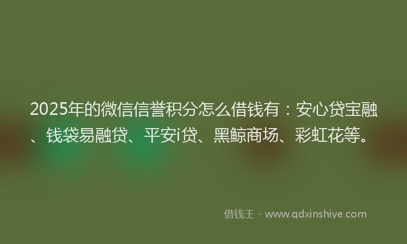 2025年的微信信誉积分怎么借钱有:安心贷宝融、钱袋易融贷、平安i贷、黑鲸商场、彩虹花等。