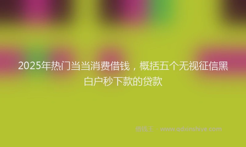 2025年热门当当消费借钱，概括五个无视征信黑白户秒下款的贷款