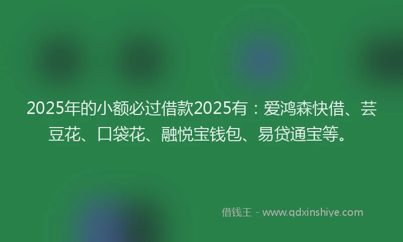 2025年的小额必过借款2025有：爱鸿森快借、芸豆花、口袋花、融悦宝钱包、易贷通宝等。