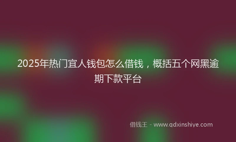 2025年热门宜人钱包怎么借钱，概括五个网黑逾期下款平台