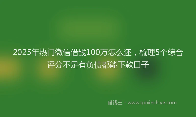 2025年热门微信借钱100万怎么还，梳理5个综合评分不足有负债都能下款口子