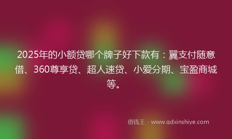 2025年的小额贷哪个牌子好下款有：翼支付随意借、360尊享贷、超人速贷、小爱分期、宝盈商城等。