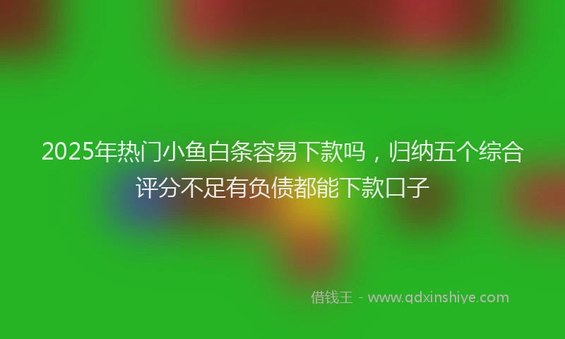 2025年热门小鱼白条容易下款吗，归纳五个综合评分不足有负债都能下款口子