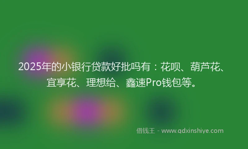 2025年的小银行贷款好批吗有：花呗、葫芦花、宜享花、理想给、鑫速Pro钱包等。