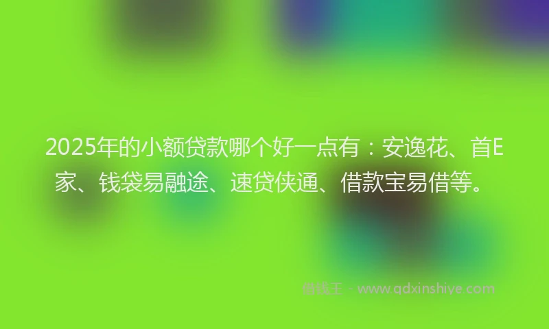 2025年的小额贷款哪个好一点有：安逸花、首E家、钱袋易融途、速贷侠通、借款宝易借等。