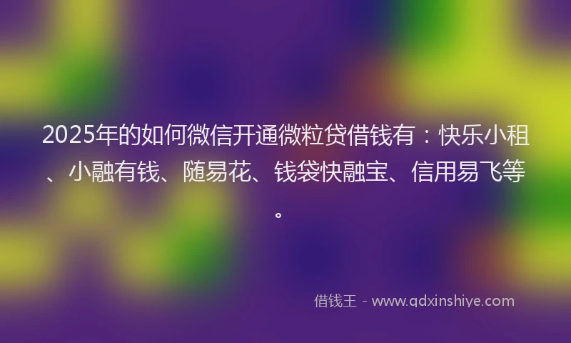 2025年的如何微信开通微粒贷借钱有：快乐小租、小融有钱、随易花、钱袋快融宝、信用易飞等。