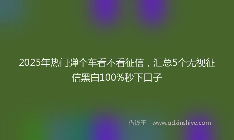 2025年热门弹个车看不看征信，汇总5个无视征信黑白100%秒下口子