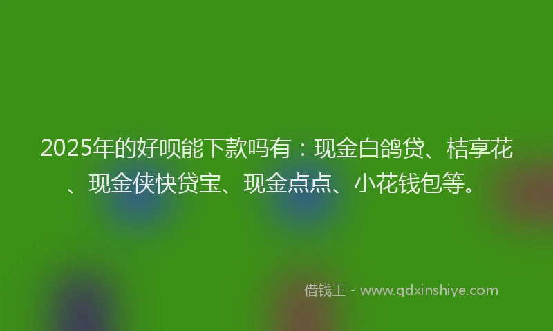 2025年的好呗能下款吗有：现金白鸽贷、桔享花、现金侠快贷宝、现金点点、小花钱包等。