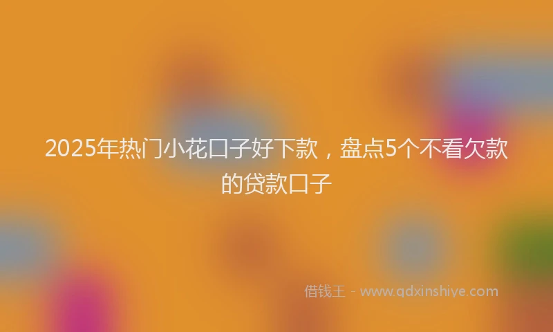 2025年热门小花口子好下款，盘点5个不看欠款的贷款口子