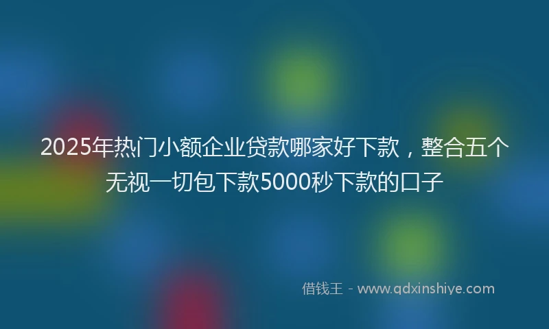 2025年热门小额企业贷款哪家好下款，整合五个无视一切包下款5000秒下款的口子