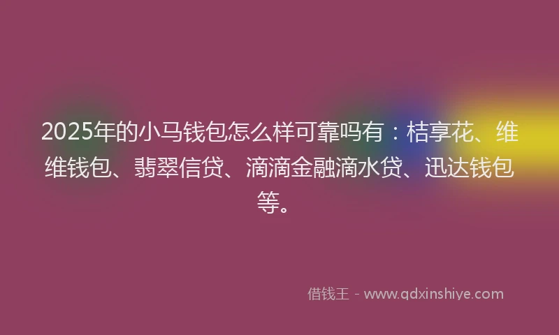 2025年的小马钱包怎么样可靠吗有：桔享花、维维钱包、翡翠信贷、滴滴金融滴水贷、迅达钱包等。
