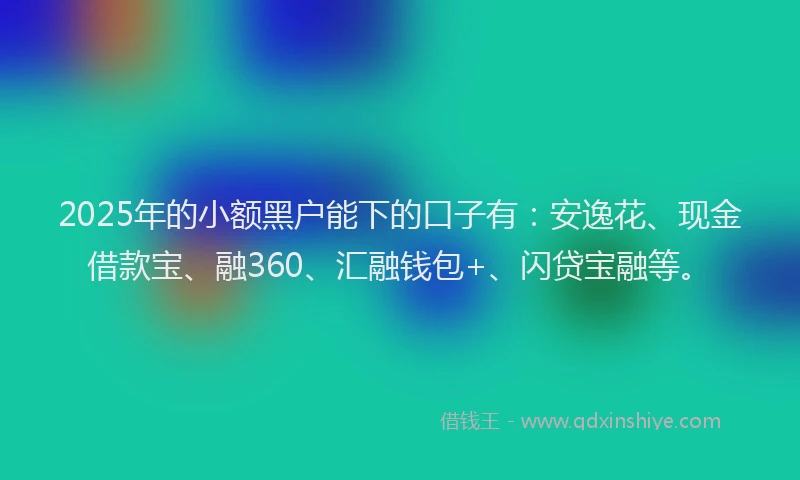 2025年的小额黑户能下的口子有：安逸花、现金借款宝、融360、汇融钱包+、闪贷宝融等。