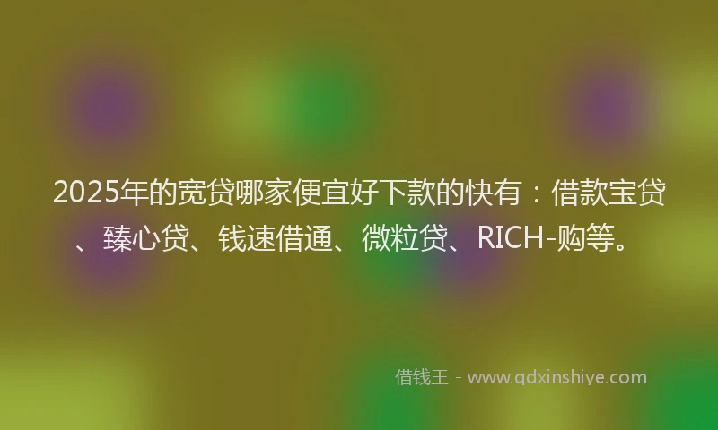 2025年的宽贷哪家便宜好下款的快有：借款宝贷、臻心贷、钱速借通、微粒贷、RICH-购等。