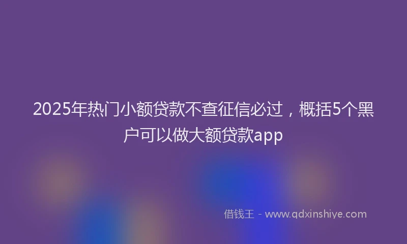 2025年热门小额贷款不查征信必过，概括5个黑户可以做大额贷款app