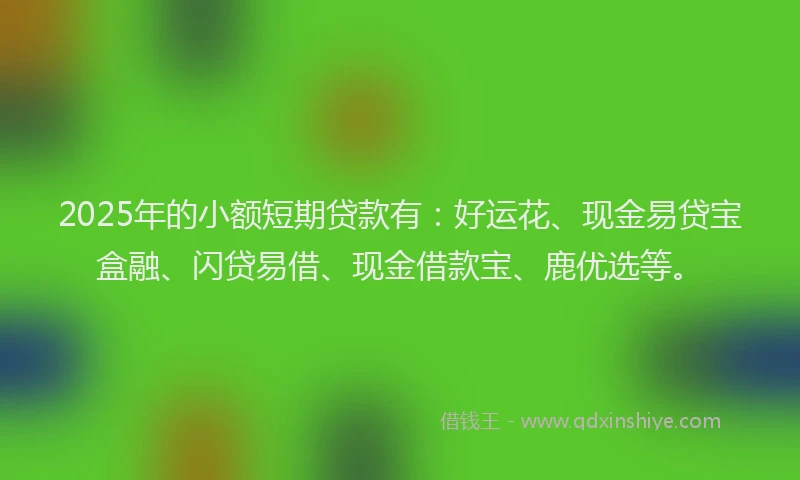 2025年的小额短期贷款有：好运花、现金易贷宝盒融、闪贷易借、现金借款宝、鹿优选等。