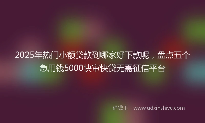 2025年热门小额贷款到哪家好下款呢，盘点五个急用钱5000快审快贷无需征信平台
