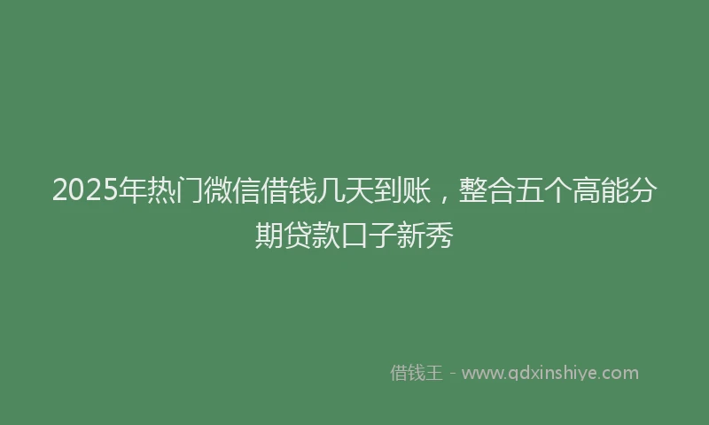 2025年热门微信借钱几天到账，整合五个高能分期贷款口子新秀