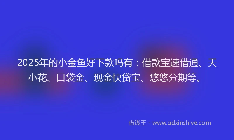 2025年的小金鱼好下款吗有：借款宝速借通、天小花、口袋金、现金快贷宝、悠悠分期等。