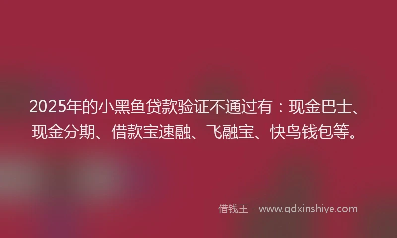 2025年的小黑鱼贷款验证不通过有：现金巴士、现金分期、借款宝速融、飞融宝、快鸟钱包等。