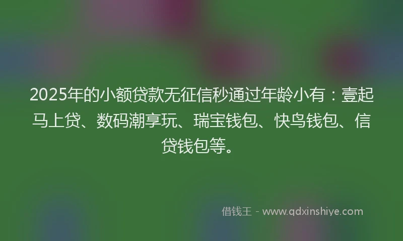 2025年的小额贷款无征信秒通过年龄小有：壹起马上贷、数码潮享玩、瑞宝钱包、快鸟钱包、信贷钱包等。