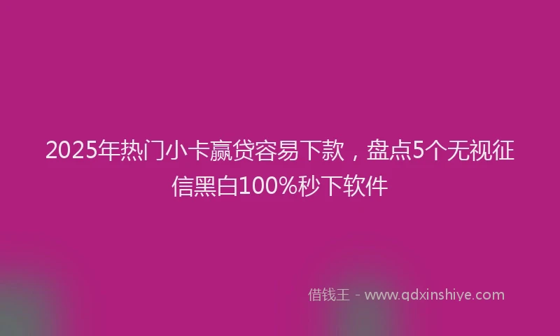 2025年热门小卡赢贷容易下款，盘点5个无视征信黑白100%秒下软件